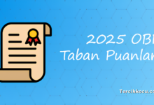 Manisa OBP İle Öğrenci Alan Liseler 2024 – 2025 Taban Puanları Manisa OBP İle Öğrenci Alan Liseler 2024 – 2025 Taban Puanları
