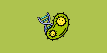 Biyoloji Nasıl Çalışılır? – Biyoloji Çalışma Taktikleri